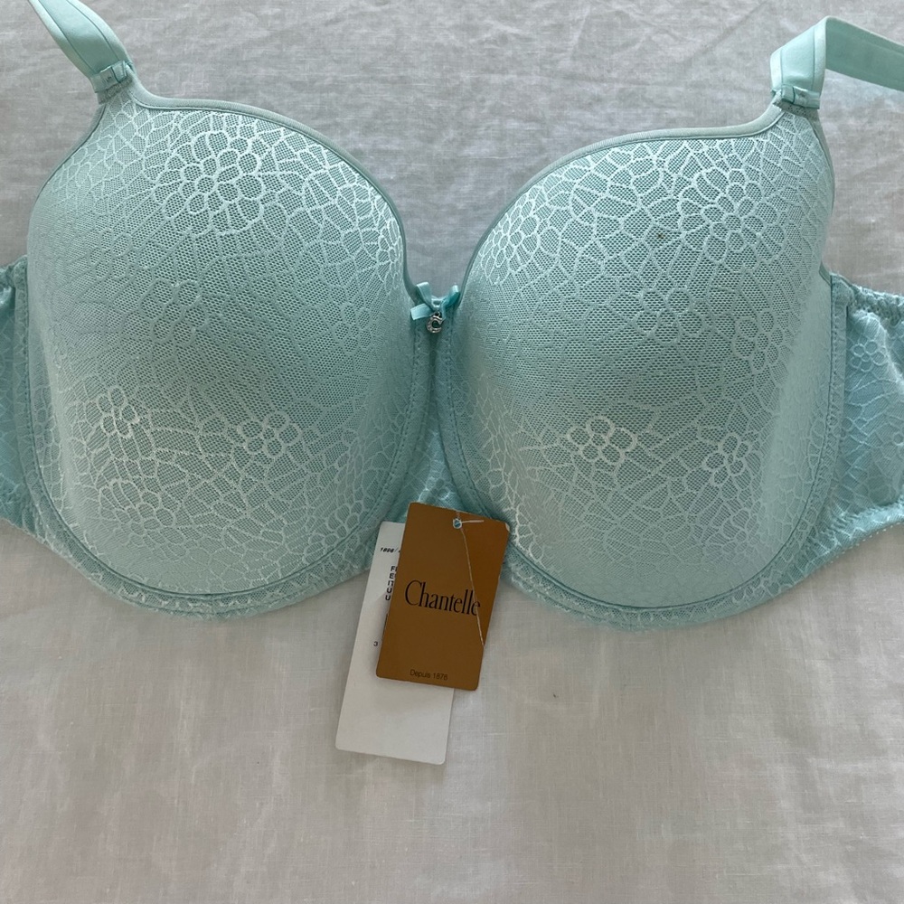 Chantelle C Magnifique Minimizer Bra Light Green Women's Size 40DDD